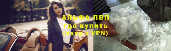 крисы Киренск