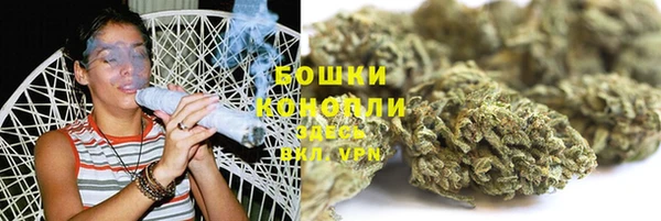 крисы Киренск