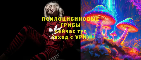 бошки Козельск
